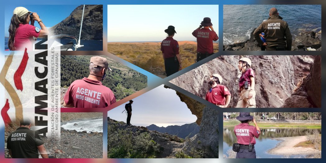 AFMACANCanarias's tweet photo. ... 365 días al año (y 366🙄), al #ServicioPúblico de las 8 #IslasCanarias🇮🇨, protegiendo nuestro preciado y único medio natural🌳🦅🦋🌲🦉🌲⛰️🌅🐡🐬🐳
#AGENTESMEDIOAMBIENTE #AGENTESFORESTALES

Aún está en nuestras manos🤲🌱 
¿NOS AYUDAS? 💚

#DiaMundialdeProteccióndelaNaturaleza https://t.co/gV3KqXeIMX