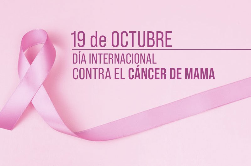 CmStoresIB's tweet photo. #19Octubre

Por todas las que lucharon, luchan y lucharán… ¡No estáis solas, tenemos que ganar!

#CáncerDeMama #Ganaremos #BatallaAlCáncer https://t.co/cKwKwgWTcs
