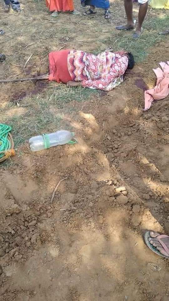 PAPITA MEENA tweet media
