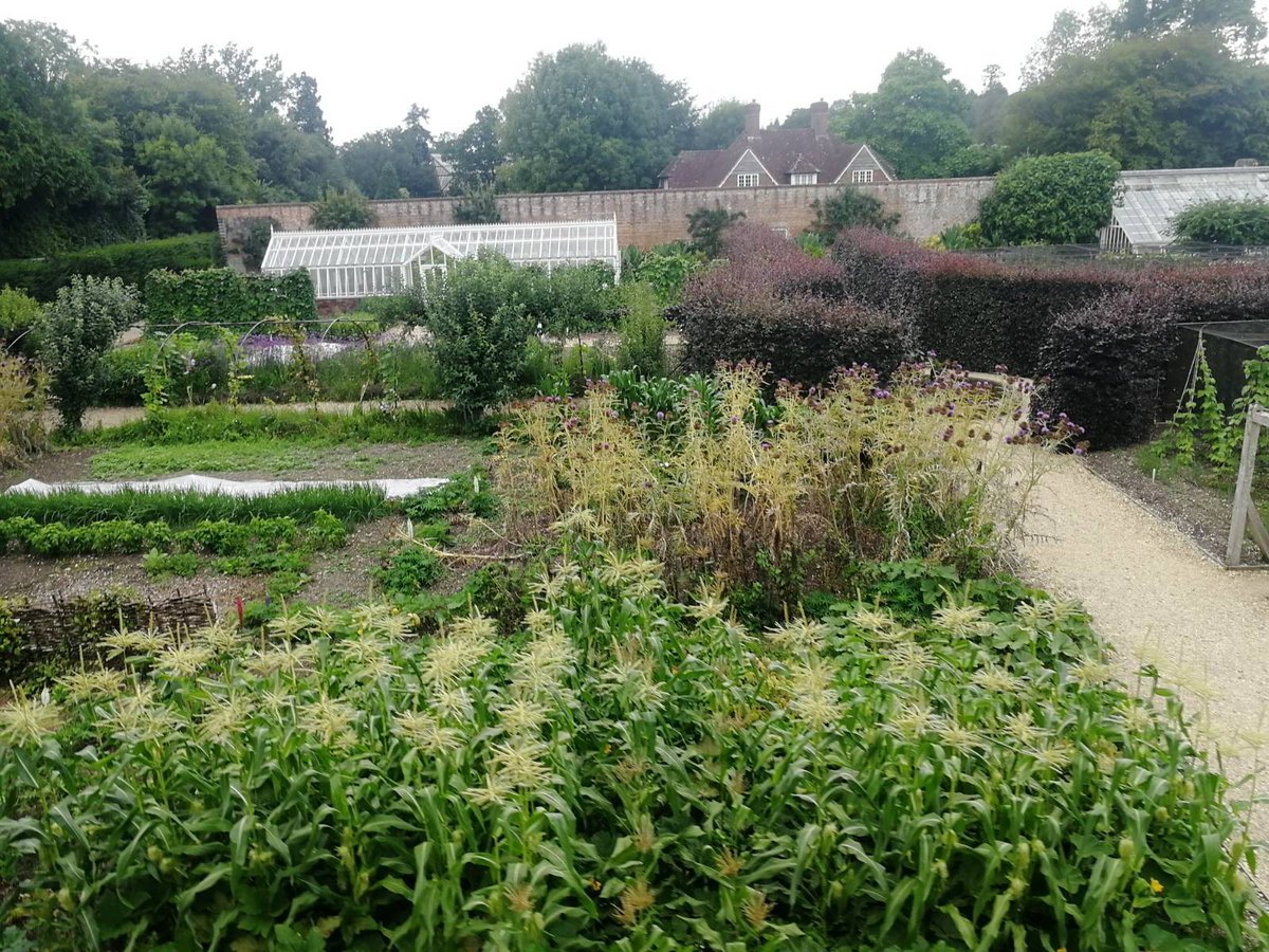 The Crop Club has been very quiet over the last few months but worry not, we haven’t given up! 
Between COVID and other bumps in the road, we had to take some time off to re-focus and re-energise but we're ready to get back to getting you growing!
#Permaculture #SocEnt #Gardening