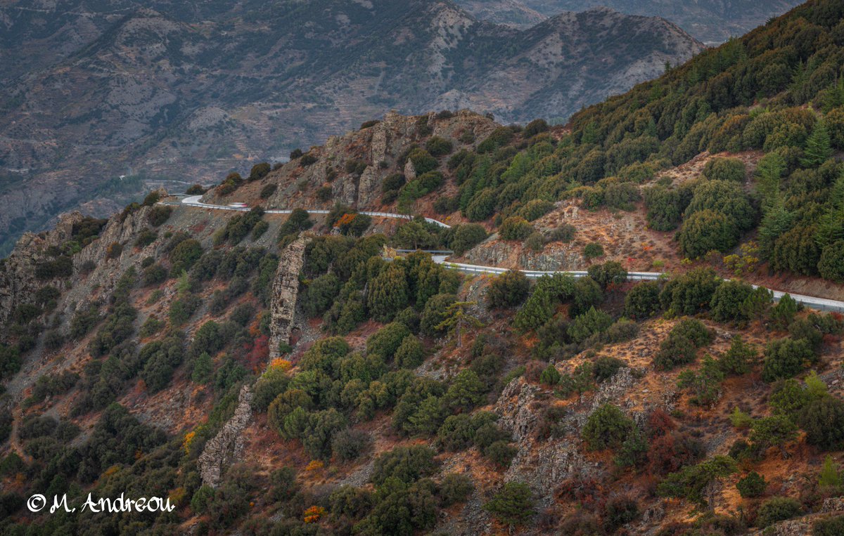 andreou__marios's tweet photo. The road to success is not a straight line - Adelfoi Forest (Cyprus)
#rocks #cyprus #nature #naturephotography #troodosphotography #visitcyprus #natgeolandscape #nikonlandscape #sightseeing #photooftheday #europetravel #autumn #autumncolors
 https://t.co/XKUGDHsEJb https://t.co/friS46WFGW