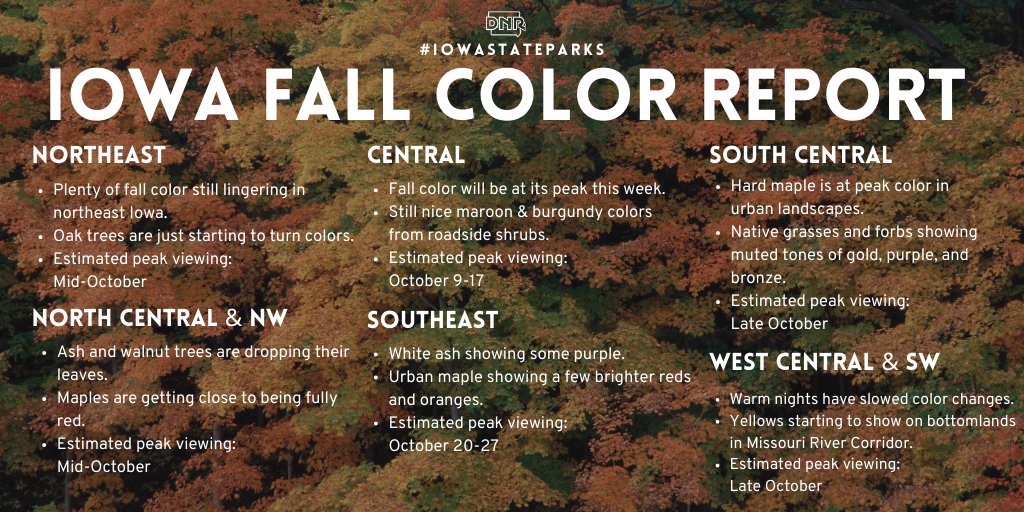 iowadnr's tweet photo. While this year's drought and warm fall temperatures may have muted fall colors some, there's still plenty of autumn beauty to explore in Iowa!

Fall color report: https://t.co/gFXfuDAOwS
Find a state park: https://t.co/jyvs5VY3cZ

#IowaStateParks #ThisIsIowa #FallInIowa https://t.co/SXgahPRKYq