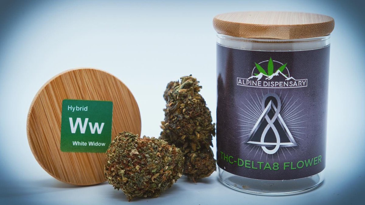Alpine_Cannabis's tweet photo. Did we hear someone say they wanted some new strains? 😏 Happy Terpy Tuesday! White Widow (33.93%) &amp; Bubba Kush (21.55%). Now available online and in-store. #CannabisCommunity #Mmemberville #delta8 #alpinehelenga #newstrain 

https://t.co/bVySNtDBVn https://t.co/Lsaw1sTbzI
