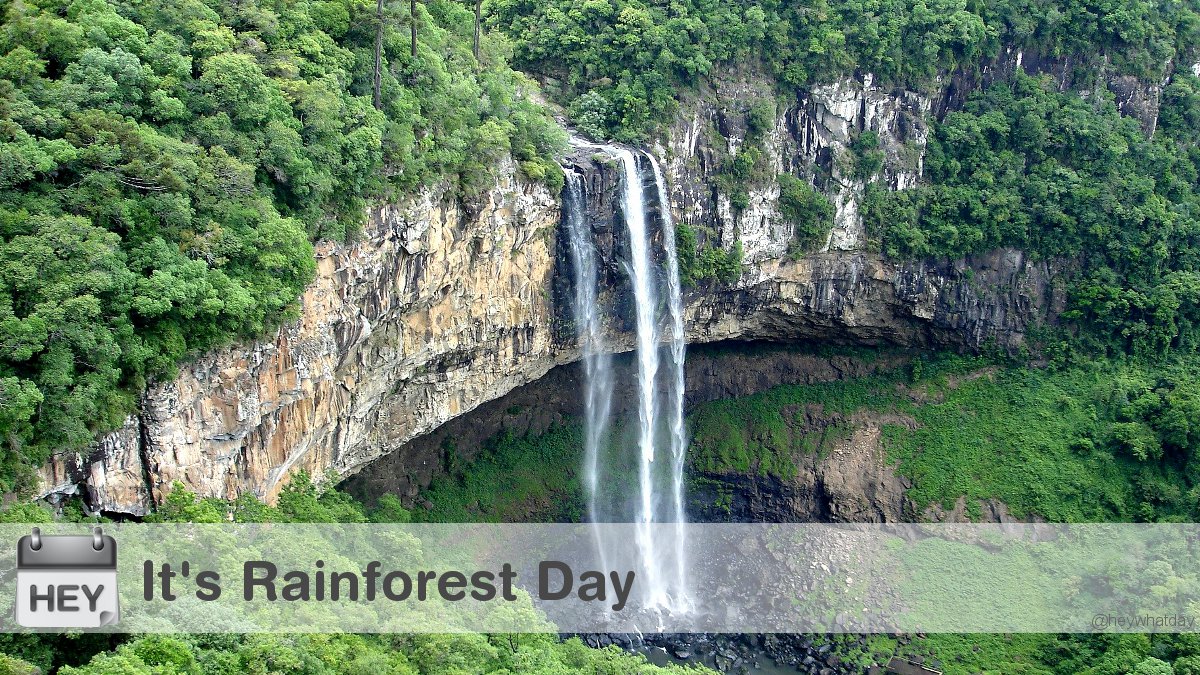 HeyWhatDay's tweet photo. It's Rainforest Day!
#RainforestDay #NationalRainforestDay #Waterfall https://t.co/71cevoQqGx