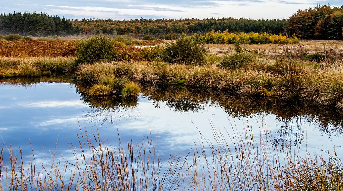 Brabant's tweet image. Brabant slaat handen ineen voor gezonde toekomst van het Brabantse Land bit.ly/30HAicL