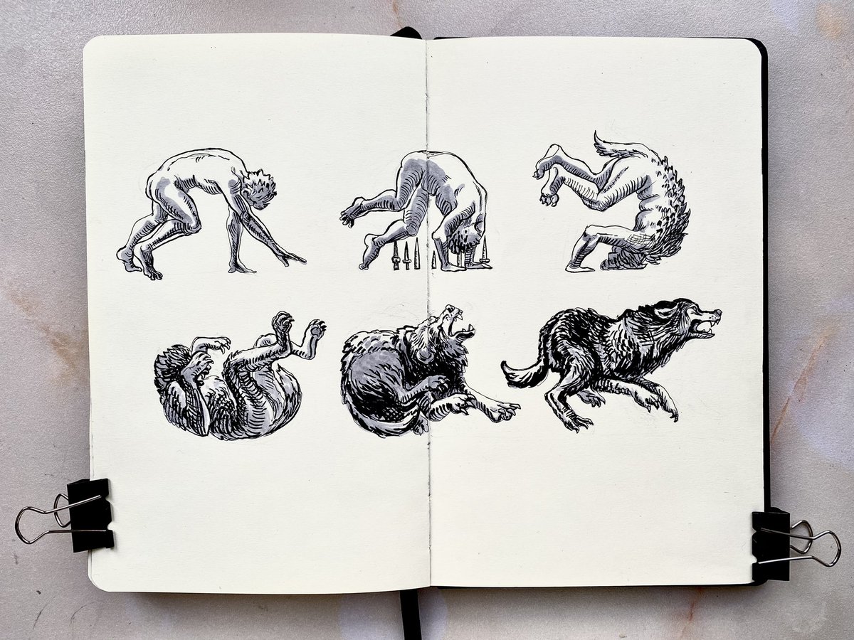 katiermine's tweet photo. Inktober day 19 - Loop #inktober2021 #inktoberday19 #inktober2021loop #Werewolf #wolf #ipevo #inkart #inking #loop #comics #sketchbook https://t.co/NjxdqqpWcM