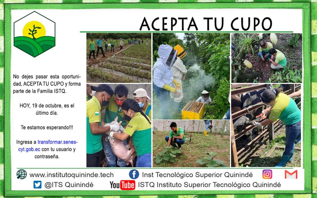 ITSQuininde's tweet photo. ⚠️No dejes pasar esta oportunidad⚠️

✅ACEPTA TU CUPO y forma parte de la Familia ISTQ✅

HOY, 19 de octubre, es el último día😱 

Te estamos esperando!!!

Ingresa a ➡️ https://t.co/swfhmVRaMT con tu usuario y contraseña.

#somosISTQ https://t.co/bjJOLgx3Yr