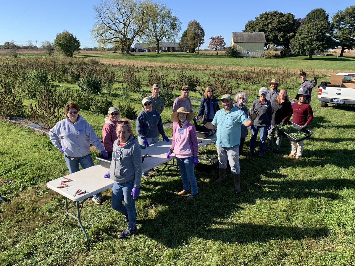 Alyssa Collins tweet media