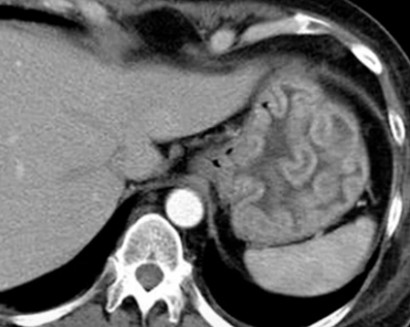 diagnostico911.org tweet media