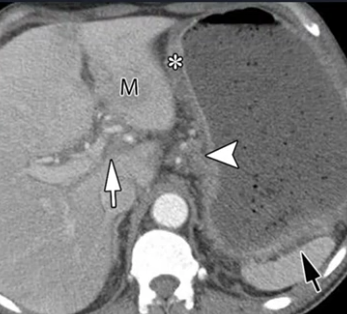 diagnostico911.org tweet media