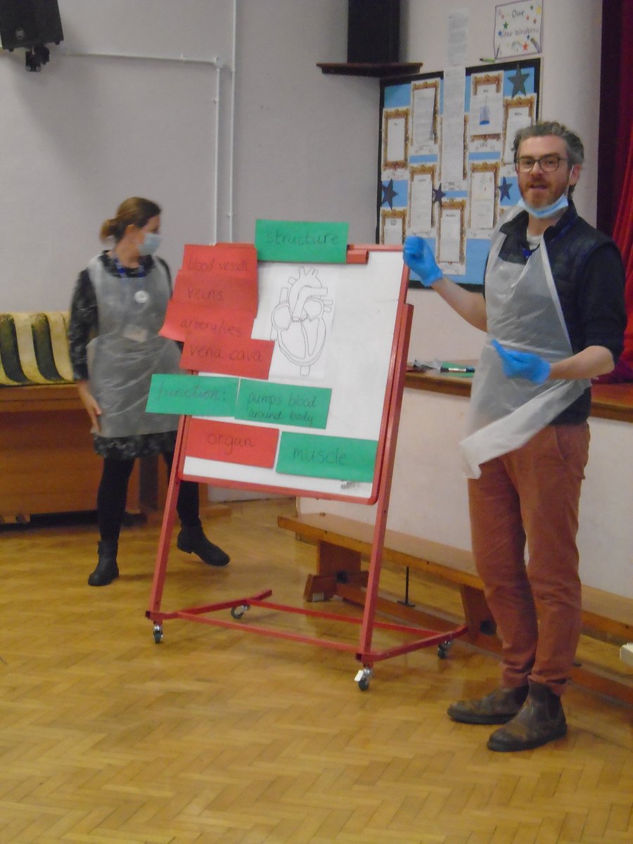 Roundhill Primary School tweet media