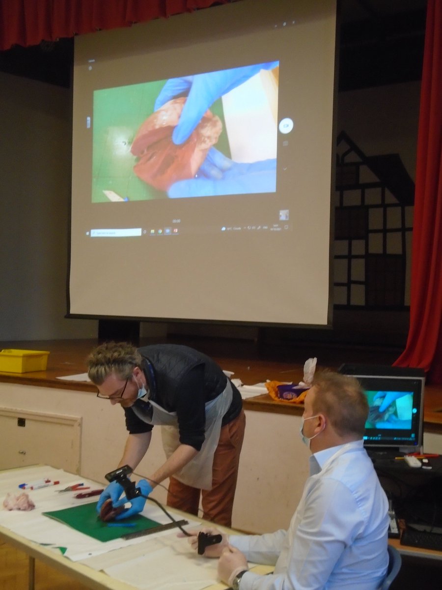 Roundhill Primary School tweet media