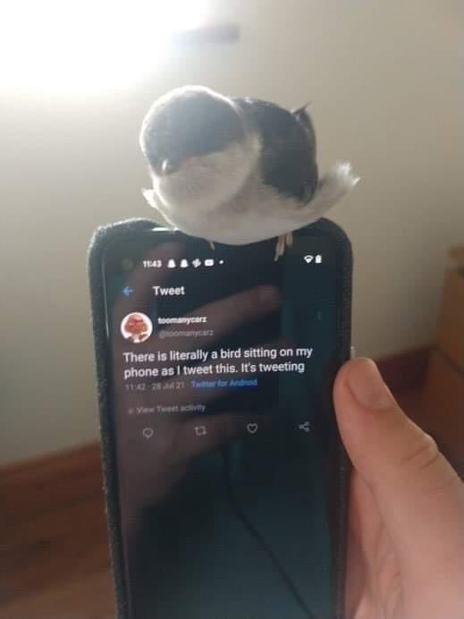 mightbecursed's tweet photo. https://t.co/grBri30kO2