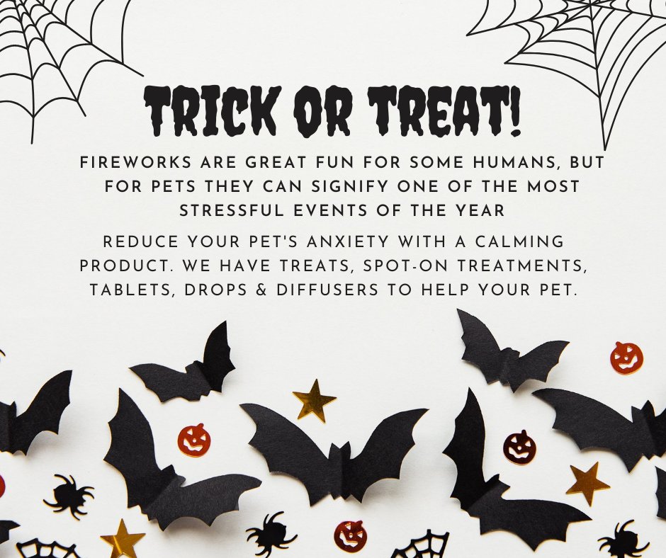 Pet_Connection's tweet image. Will #Halloween be a #trickortreat for your pet this year?

We can help with fearful felines and distressed doggos - just ask us about calming solutions for #fireworks!

Lots of natural options to help your pet through their fear 👻

See the range at petconnection.ie/fireworks