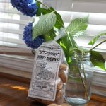 Photo by Yiddish Farm (@YiddishFarm)