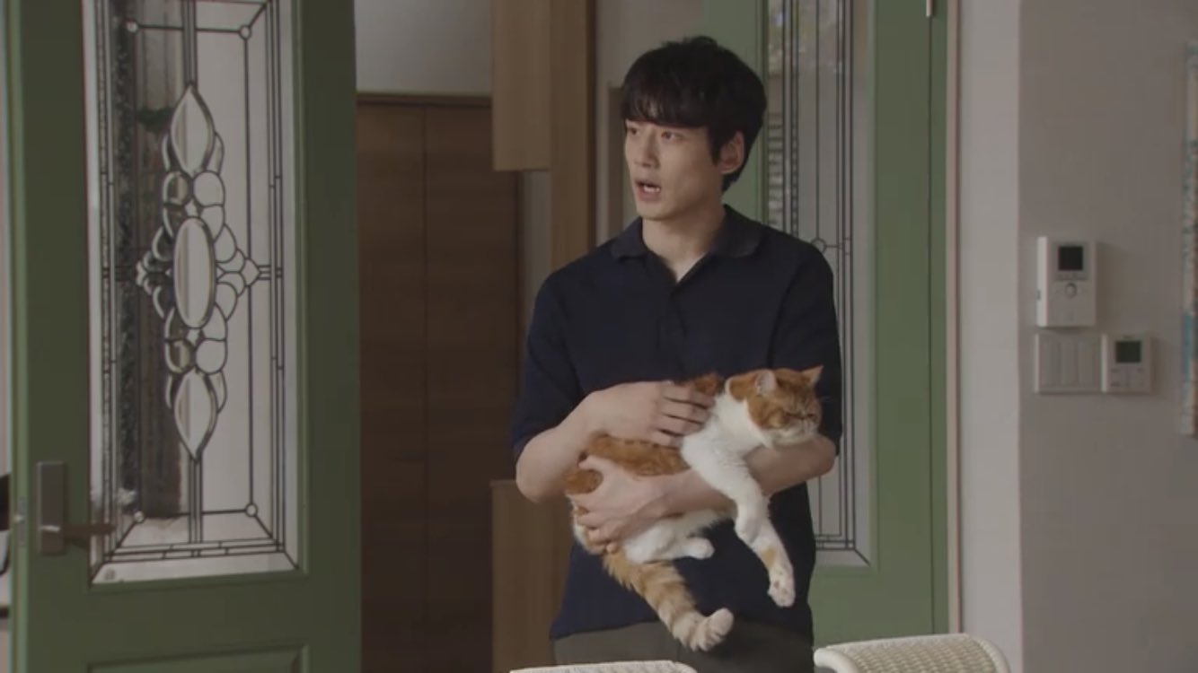 ルタ 猫と坂口健太郎は大正解 ハンオシ 婚姻届に判を捺しただけですが 坂口健太郎 T Co Hlfkwfqwit Twitter