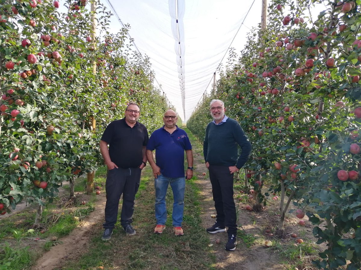 BoixoMas's tweet photo. per tal d’ensenyar-li les nostres plantacions.
Molt agraïts i contents per la seva visita i escoltar els seus consells 😊👏🍎
#jornadesirta #masbadia #fruticultors #agriculturasostenible https://t.co/5F8gkD6iqS