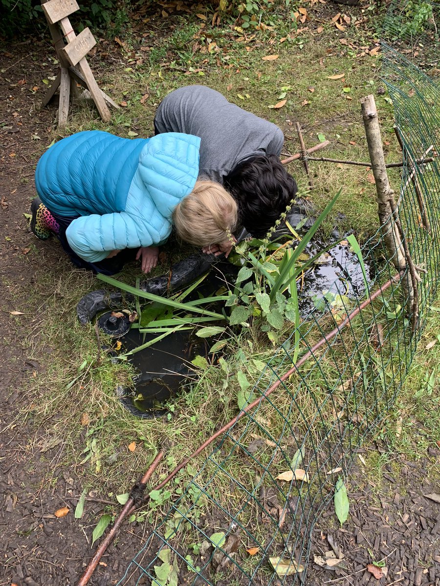 DanesfieldFS's tweet photo. Y6 rocking forest school ❤️🪵🌳🐓 #froghunting #pancakes #freckles @DanesfieldY6 @DanesfieldSchl https://t.co/YcoUtadNCd
