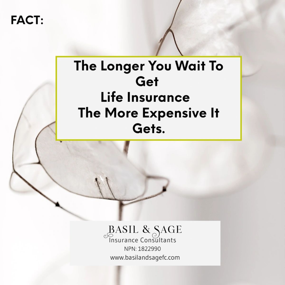 BasilandSageFC's tweet photo. How Many Tomorrow's Have You Let Go By?
Schedule an Appointment TODAY - 
https://t.co/3rpVx1GTBI https://t.co/QSjxIDzKx0