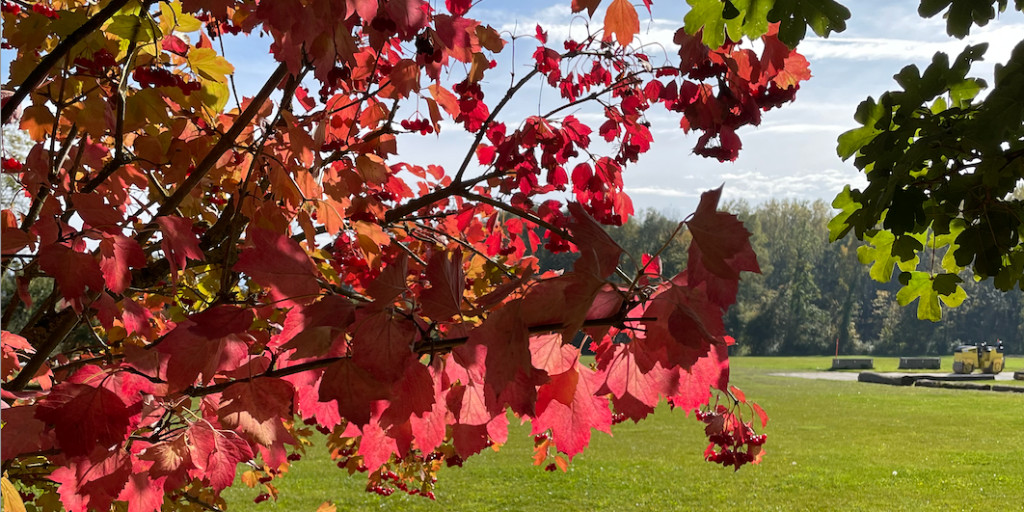 VullylesLacs's tweet photo. Vully-les-Lacs revêt ses magnifiques couleurs d’automne. Entre les vignobles et les magnifiques forêts qui nous entourent, c’est parfait pour une balade haute en couleurs. 
#autumn #vullyleslacstourisme https://t.co/NXnEdEuoAr