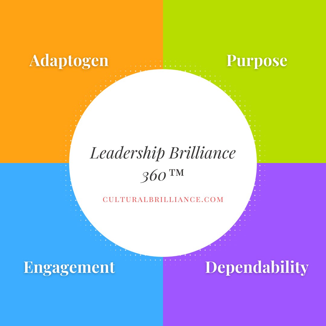 RowleyClaudette's tweet photo. Leadership Brilliance 360. For more information visit Claudette Rowley at ➡️ https://t.co/4ZuA75PWYe https://t.co/5LGoeWWVF0