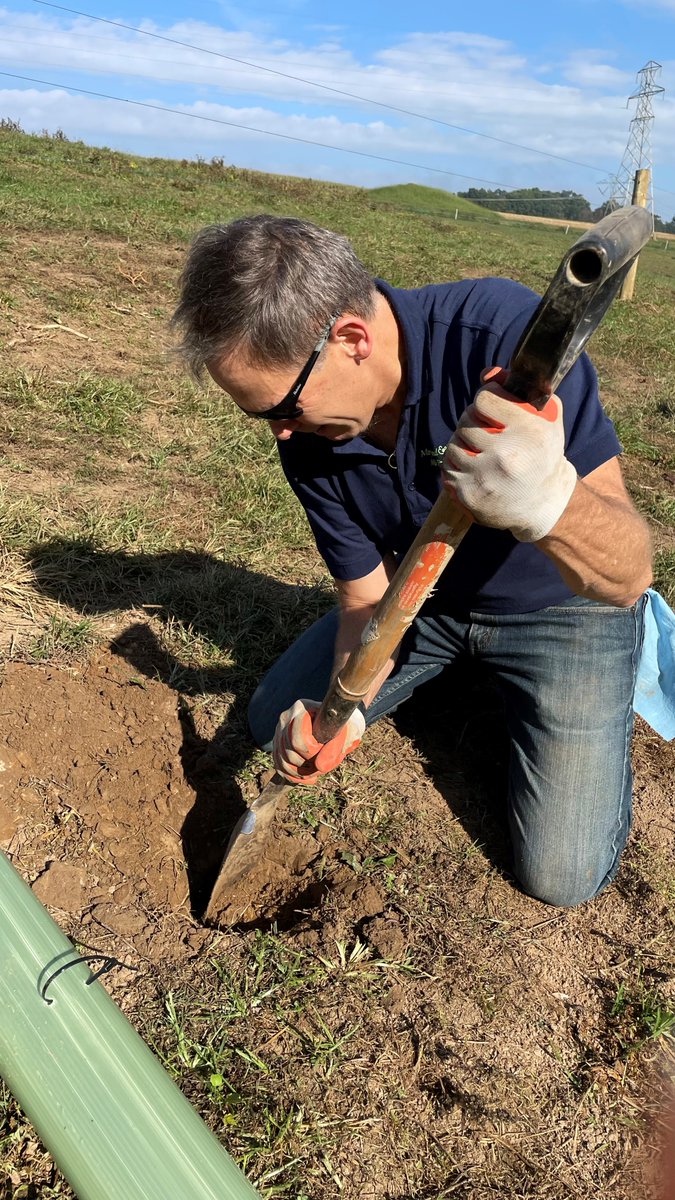 MaolaMilk's tweet photo. We got down and dirty with @MDVAMilk and @AllianceForBay to plant a riparian forest buffer! With more that 600 trees planted, I'd say it was a pretty unbe-leaf-able day.
#sustainability #localandsustainable #PAdairy #Maola #supportlocalsustainability https://t.co/ca6mfRRGvE