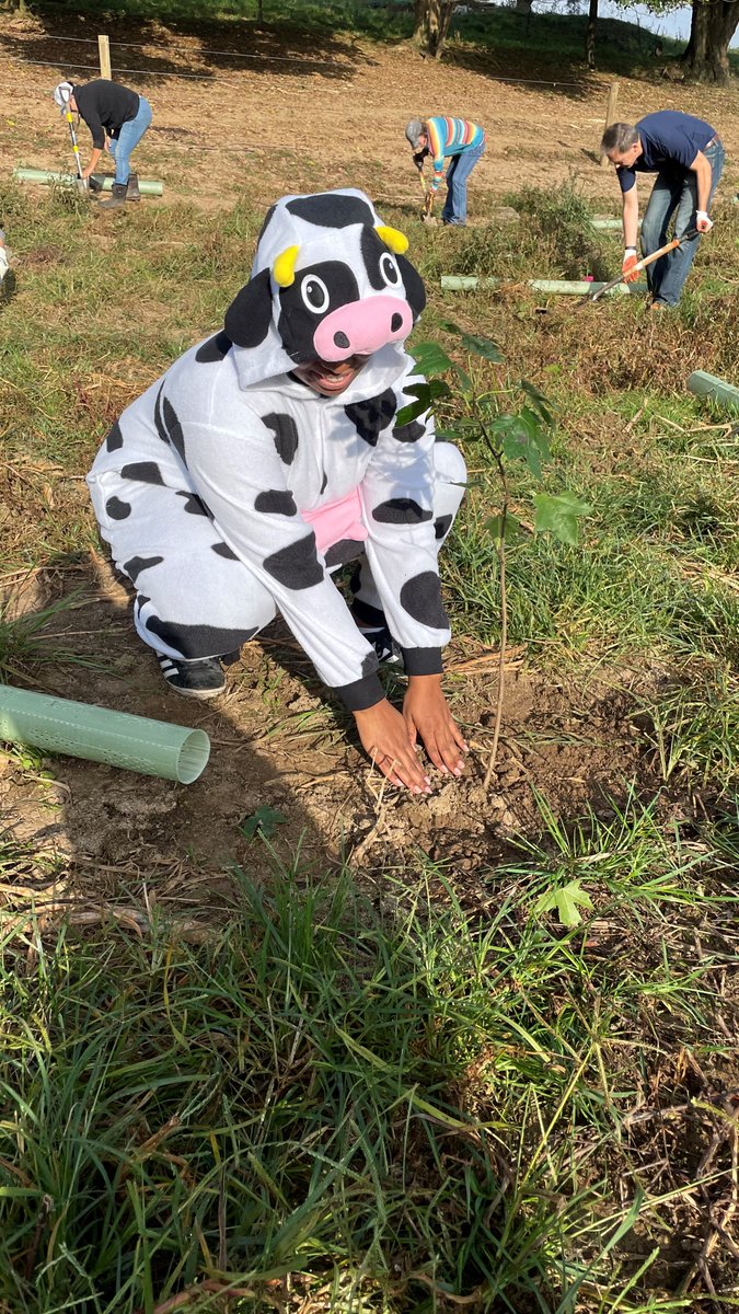 MaolaMilk's tweet photo. We got down and dirty with @MDVAMilk and @AllianceForBay to plant a riparian forest buffer! With more that 600 trees planted, I'd say it was a pretty unbe-leaf-able day.
#sustainability #localandsustainable #PAdairy #Maola #supportlocalsustainability https://t.co/ca6mfRRGvE