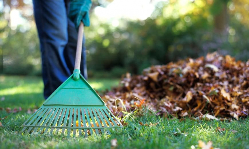 OutdoorHackerr's tweet photo. 5 Tips for Fall Garden Cleanup for Spring Growing https://t.co/jjupA7Dzmo | #cleangarden #fallgarden #fertilizer #gardenmowing #Outdoorhacker #tipsforcleaning https://t.co/OmHv69xLoC