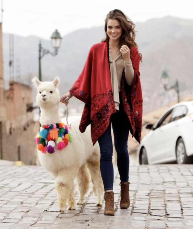 AlpacaByJaca's tweet photo. Have you visited us at our Alpaca By Jaca Showroom in River Ridge Mall? We're open daily! Contact us at Info@AlpacaByJaca.com, (434) 942-4005 or (866) 384-7080. https://t.co/yqqkiosDV3