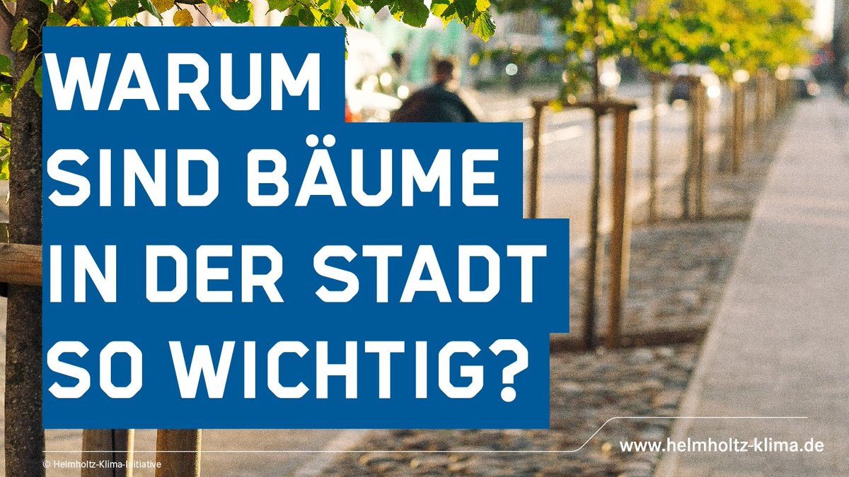 Eine Studie unter Helmholtz-Leitung zeigt: Wer in unmittelbarer Umgebung von Bäumen lebt, bekommt seltener Antidepressiva verschrieben.

<a href="/AlettaBonn/">Aletta Bonn</a> <a href="/ufz_de/">UFZ</a> <a href="/idiv/">iDiv Biodiversity Research</a> <a href="/UniJena/">Universität Jena</a> 

helmholtz-klima.de/faq/warum-sind…