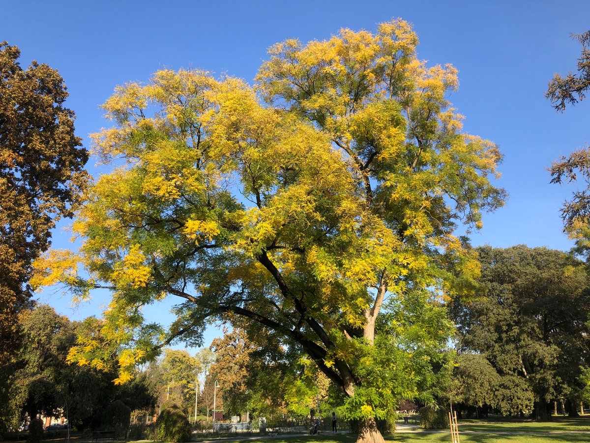 Autumn idyll
