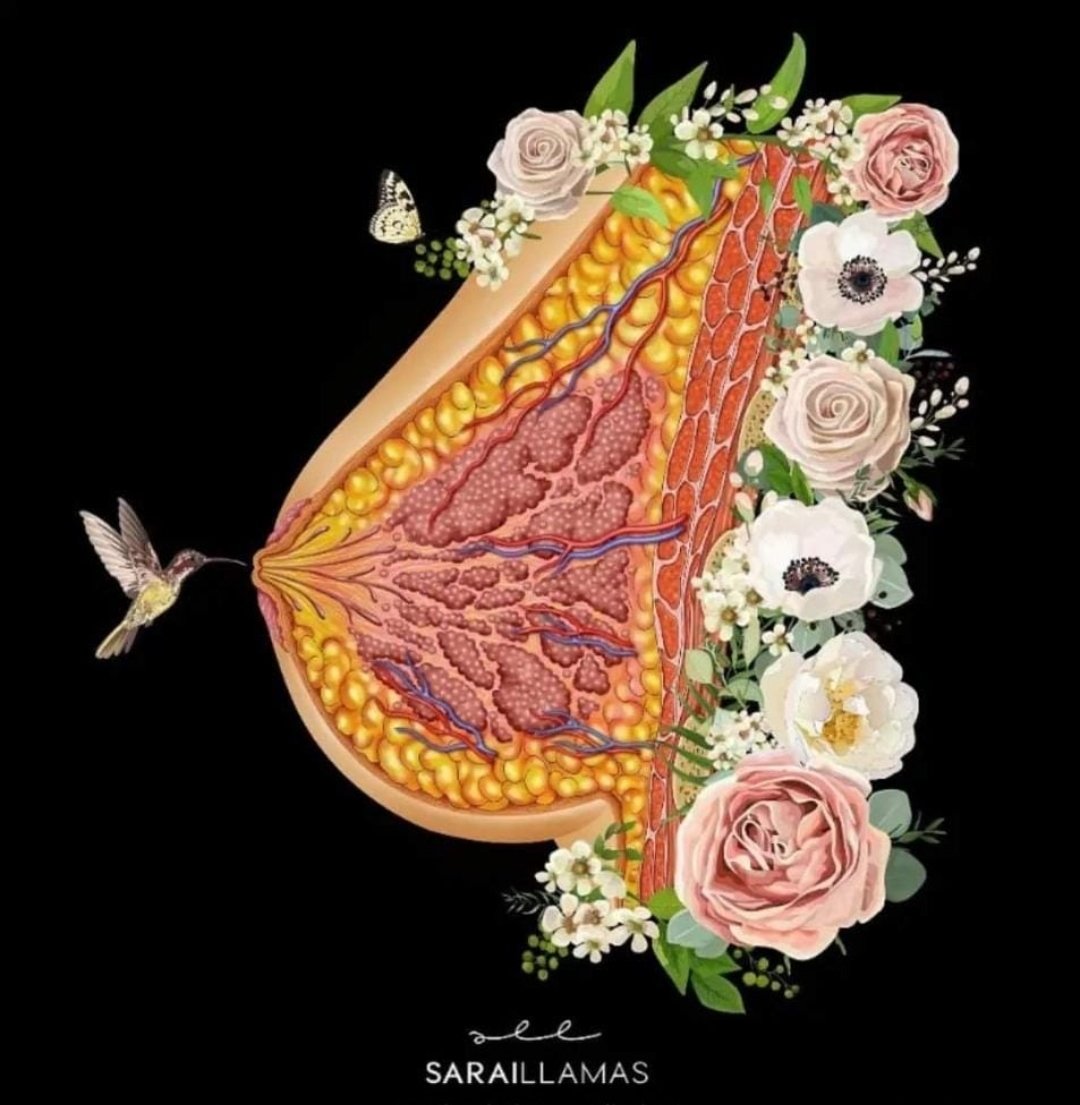331nico's tweet photo. 19 de octubre dia de #CancerDeMamas  1ra causa de muerte oncologica en Chile y el mundo. Totalmente prevenible y abordable si se diagnistica de forma oportuna y temprana.Los médicos debemos indicar más mamografias! #ContigoCHV #MuchoGustoMega #Bienvenidos13 #Chile #PuertoMontt https://t.co/oB7ajgAiVo