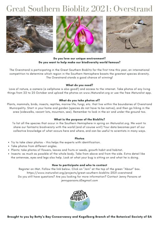 PhillipskopSA's tweet photo. Phillipskop is going to be adding to the Overstrand tally for the Great Southern Bioblitz 2021. There are 850 plants on the reserve, 100+ bird species, 30 species of reptiles and amphibians - let's see how many of these we can spot over this coming weekend. #GSB2021 https://t.co/MAug0pO27v