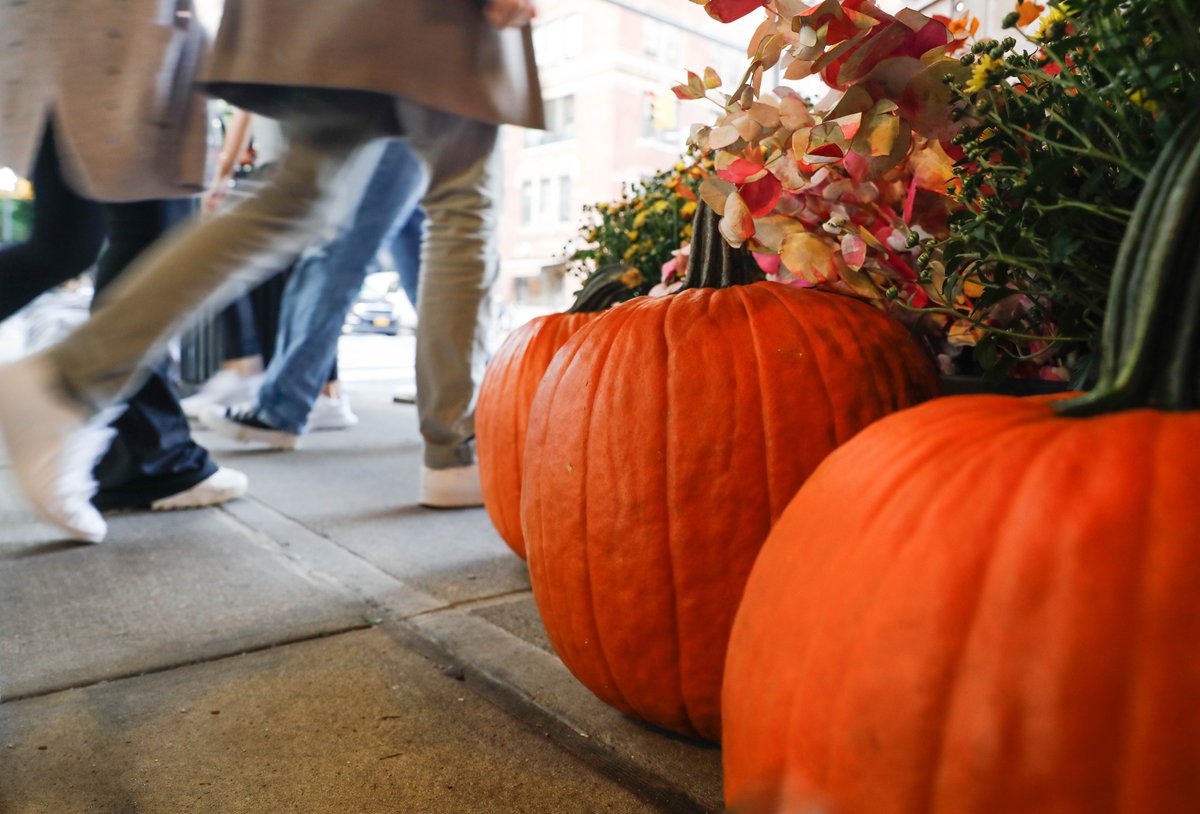 📣: All current students are invited to enter our popular Halloween 🎃 contest by sending a photo of your carved, painted, bedazzled, or otherwise decorated pumpkin to nyustories[at]nyu[dot]edu by Oct. 27 at 11:59 p.m. ET. Details and prizes: spr.ly/6010JOQUy