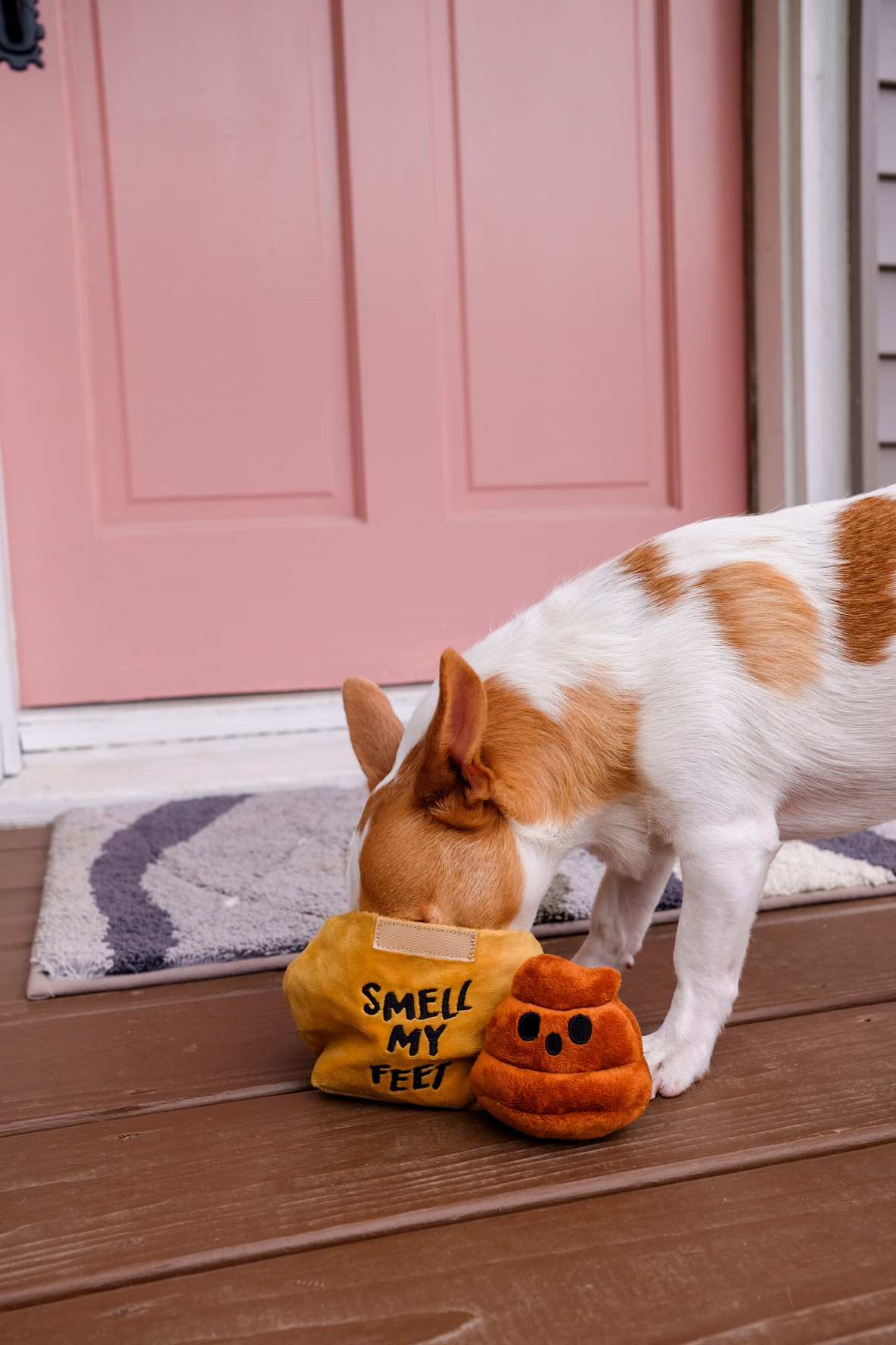 BarkBox on X