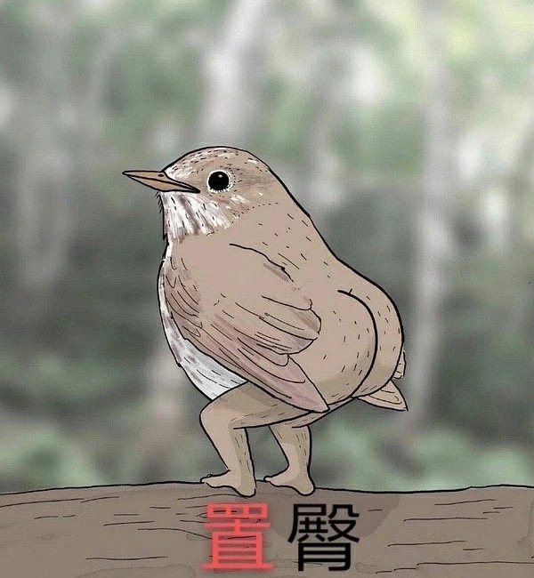Shengge_bbw's tweet photo. 史莱姆牧场！真的好玩！！！答应我！！！快买！！！ https://t.co/DMK0FznXHl