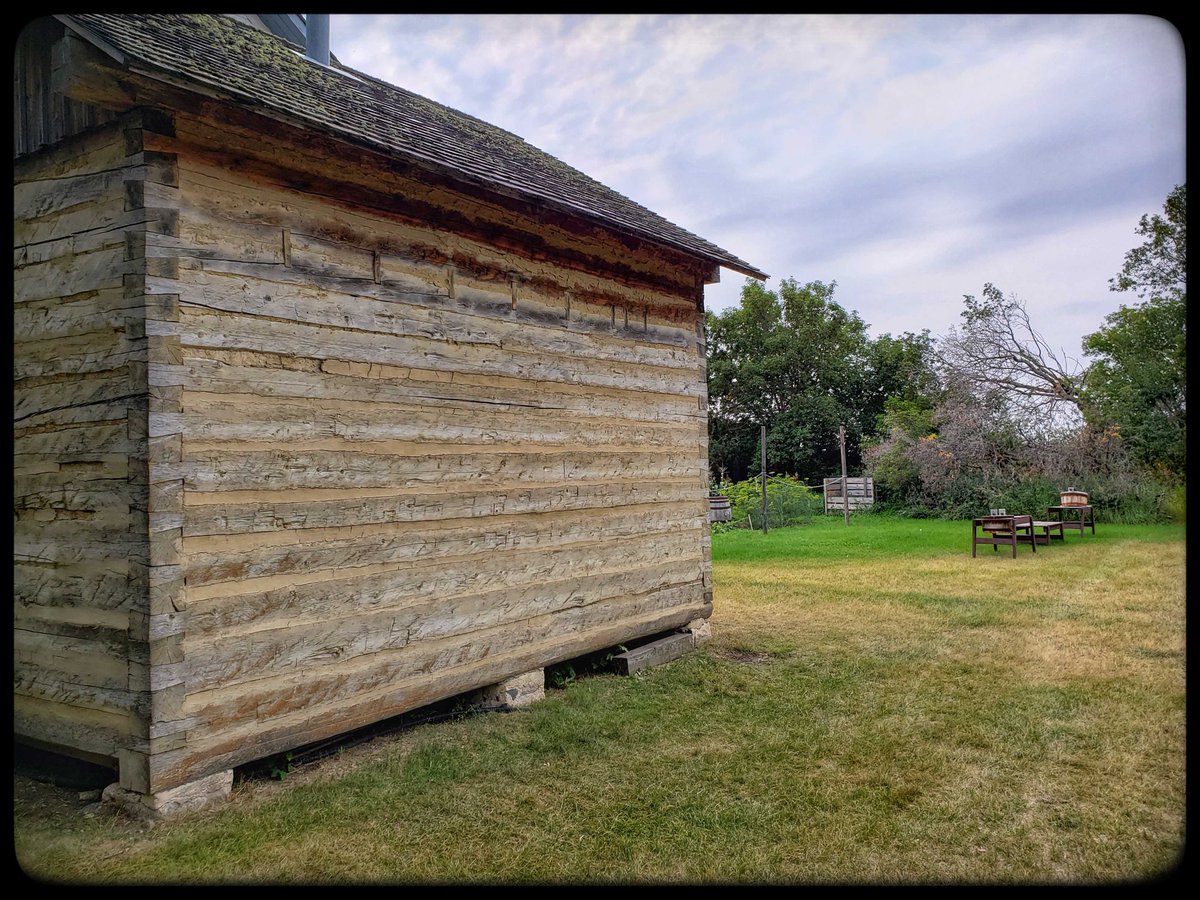 ParksCanada_SK's tweet photo. A rare view behind a #BatocheNHS log historic building. You can see the #chinking work our asset crew recently completed. https://t.co/WJifoR60zy