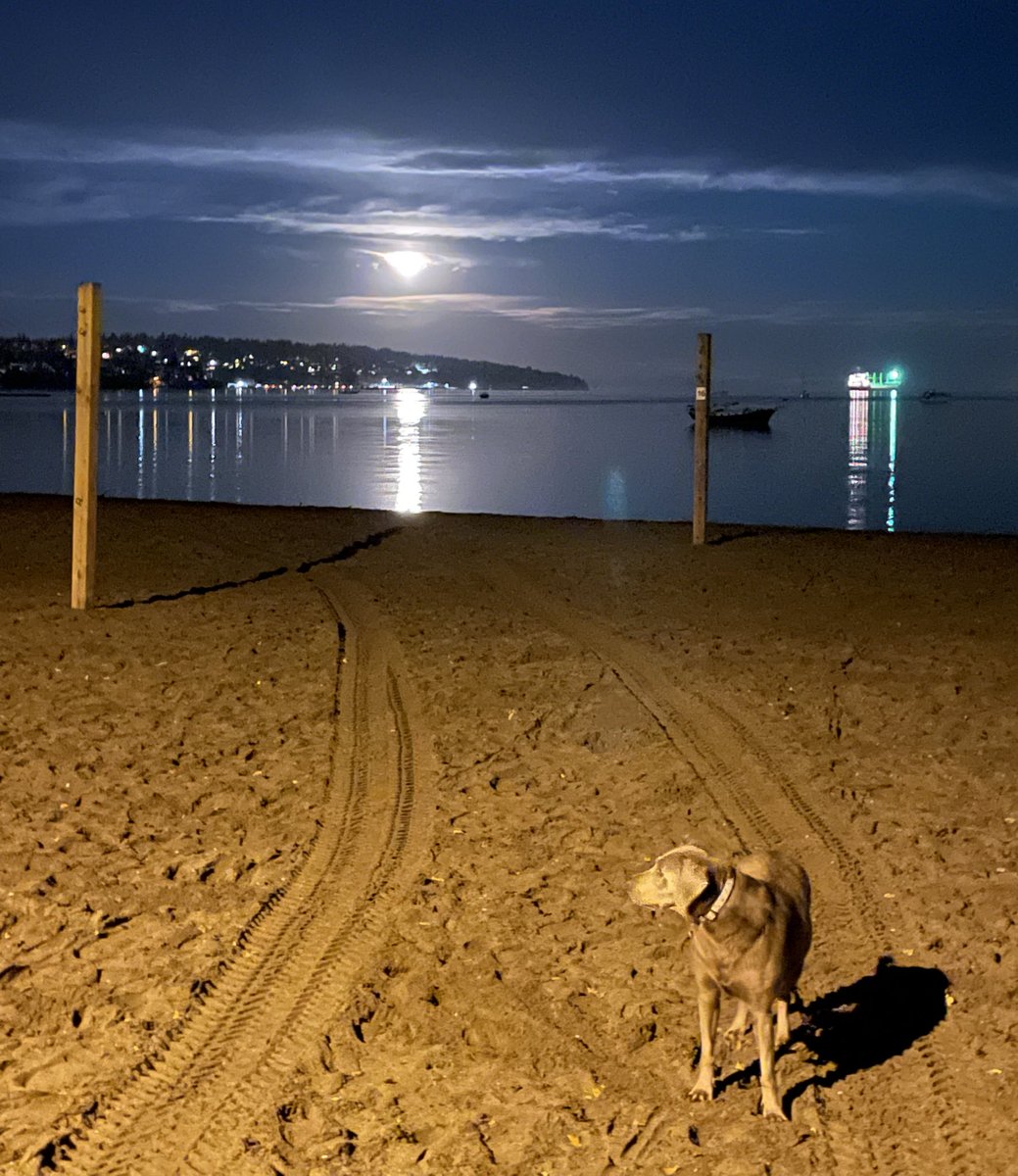 Birgitte Biorn tweet media