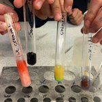 Photo by Lavington Science Department (@LavScience)