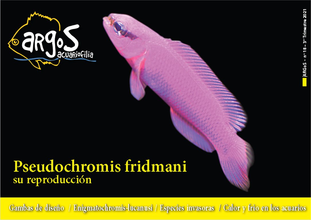 AquaticNotes's tweet image. ¡Ya está disponible el número 18 de la revista ArGoS!
aquaticnotes.com/2016/es/2021/0…
La reproducción de Pseudochromis fridmani. Gambas de diseño en acuarios marinos.Enigmatochromis lucanusi. Especies de peces invasoras. La temperatura en nuestro acuario. Acuariofilia en Red, Noticias...