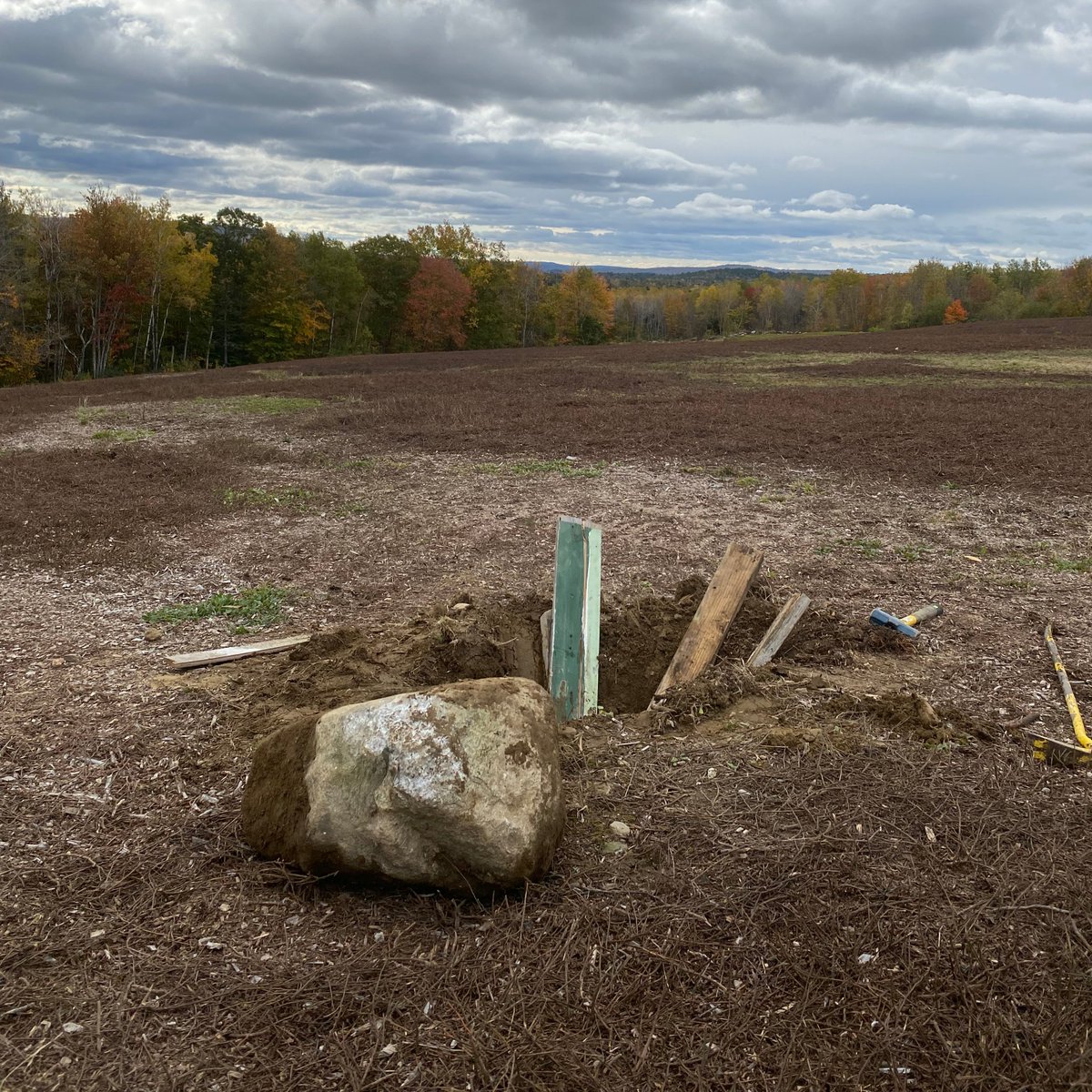 Lanterna tweet media