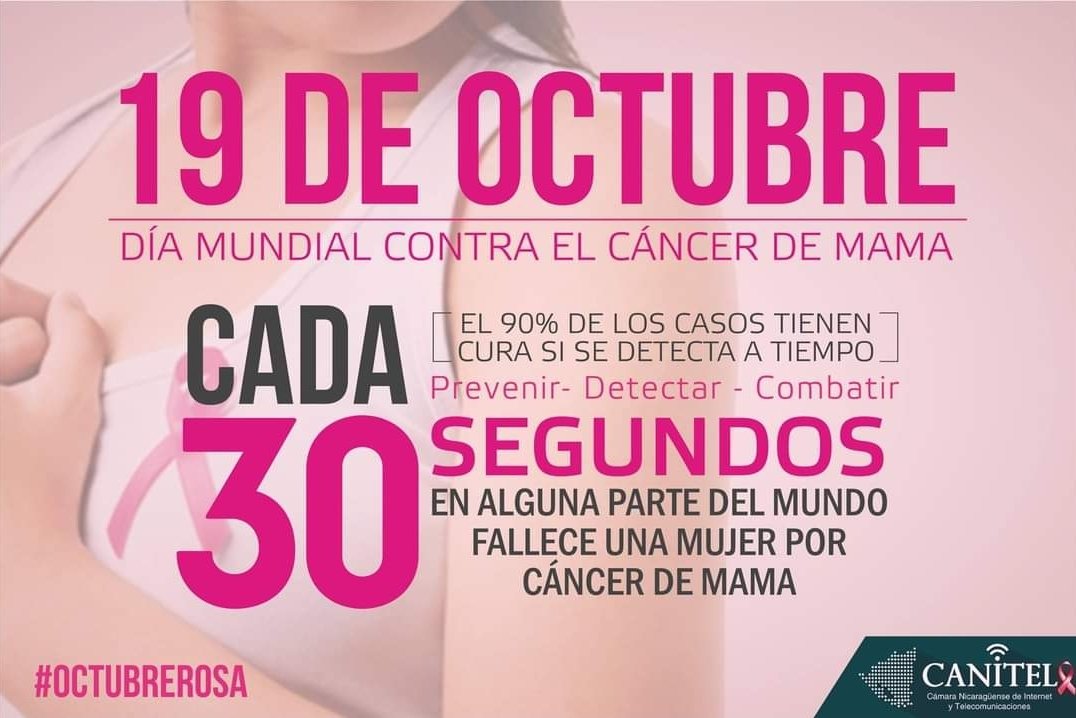 canitel2016's tweet photo. Prevenir - Detectar - Combatir #Cancer #CancerDeMamas #DiaMundialdelCancerdeMama https://t.co/mXC2qpX3qg