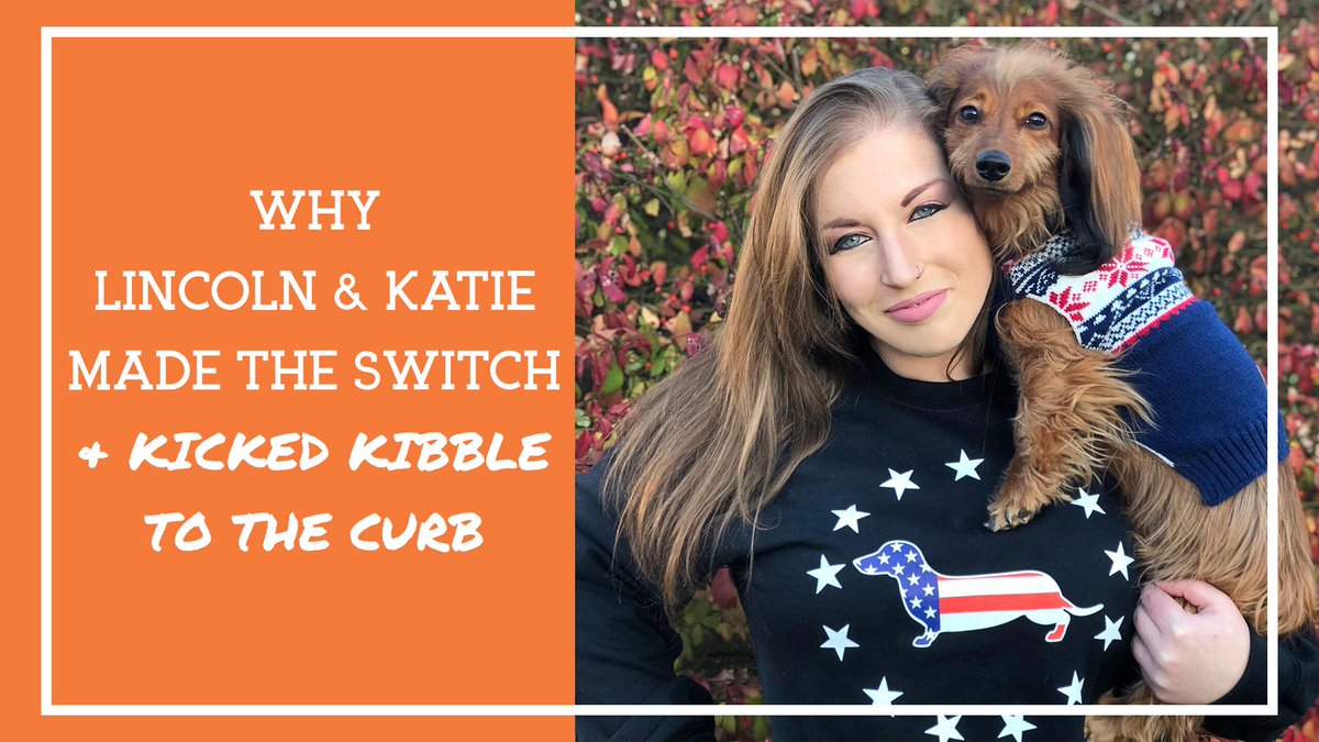 simplefoodpet's tweet image. Meet Lincoln (Linky for short), a four-year old fashionista, &amp;amp; his mom, Katie (who doubles as his fashion designer), sharing how their journey to real foods contributed to Lincoln’s “signature look.” 😎 buff.ly/3bhp8xI #realfoodfordogs #dogfood #rawfeddog