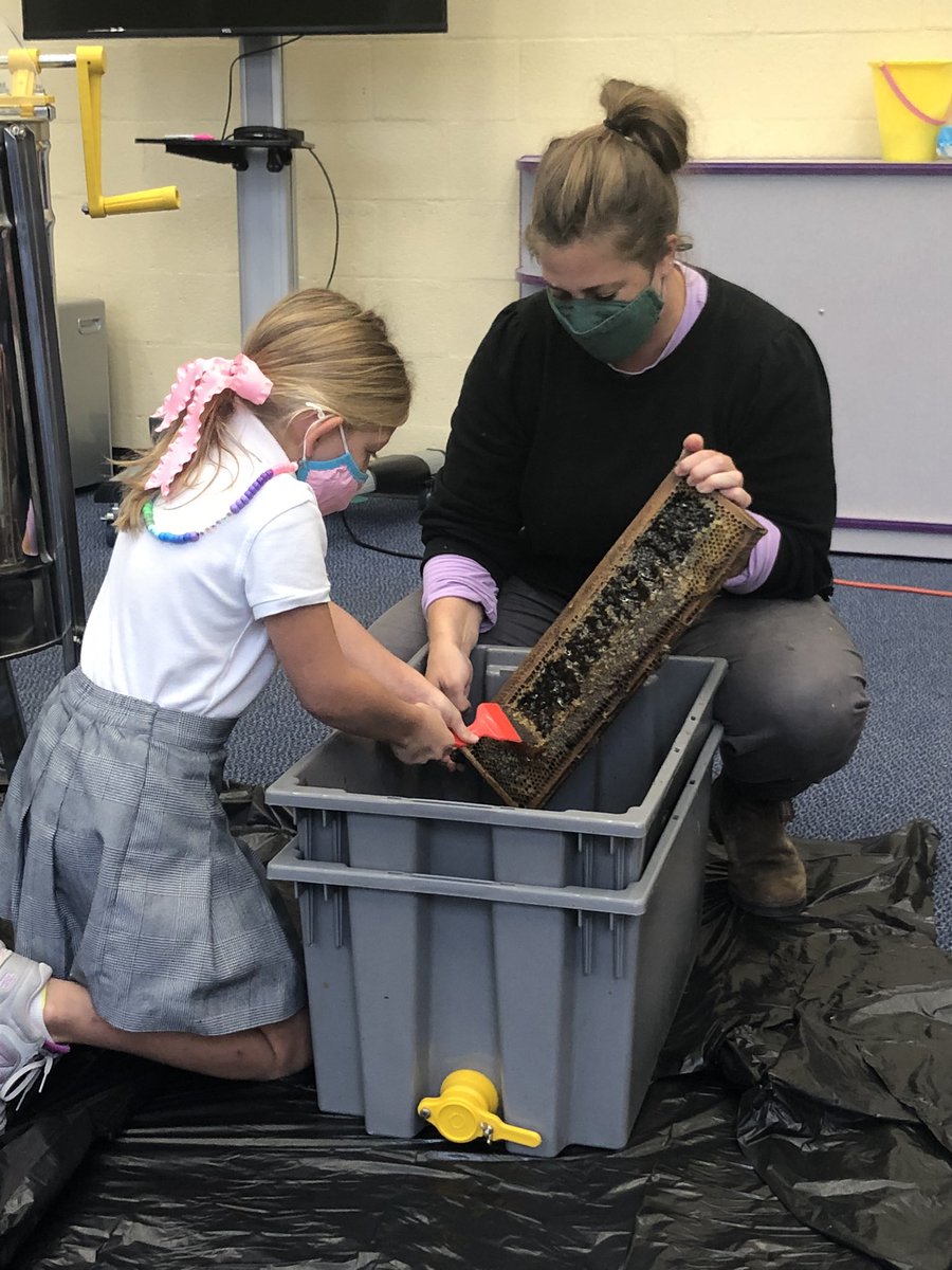hutchisonls's tweet photo. Harvesting Honey in Second Grade #hutchisonstrong https://t.co/5SgSzOFsMT