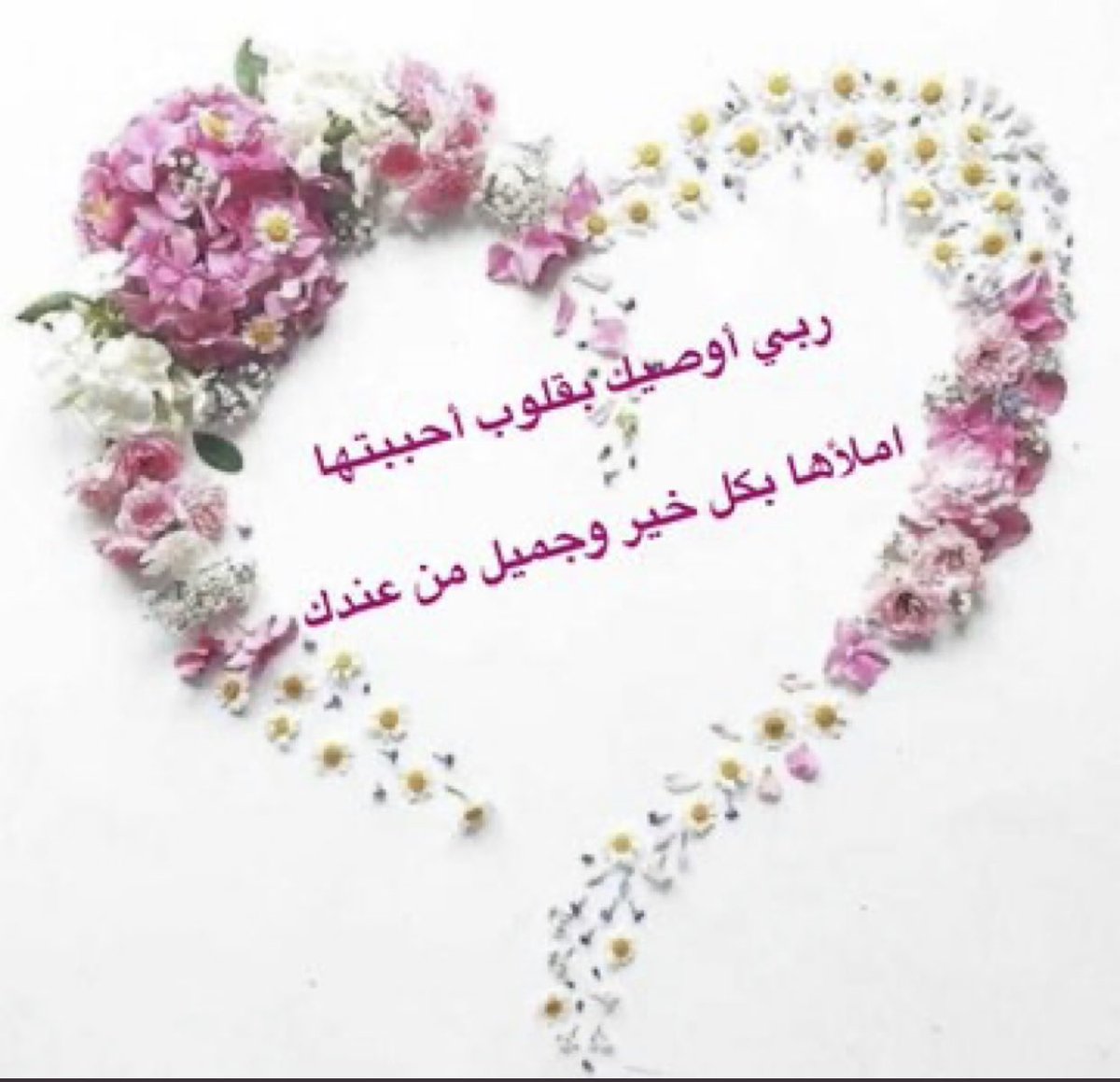 1404sba's tweet photo. @moonloo5555 @monera_alzhrani @omosama36 اللهم آمين حبيبتي ميسآء 💓💓.               شكرًا لذوقك ورقيك 💕 https://t.co/k1jeDEdkmu