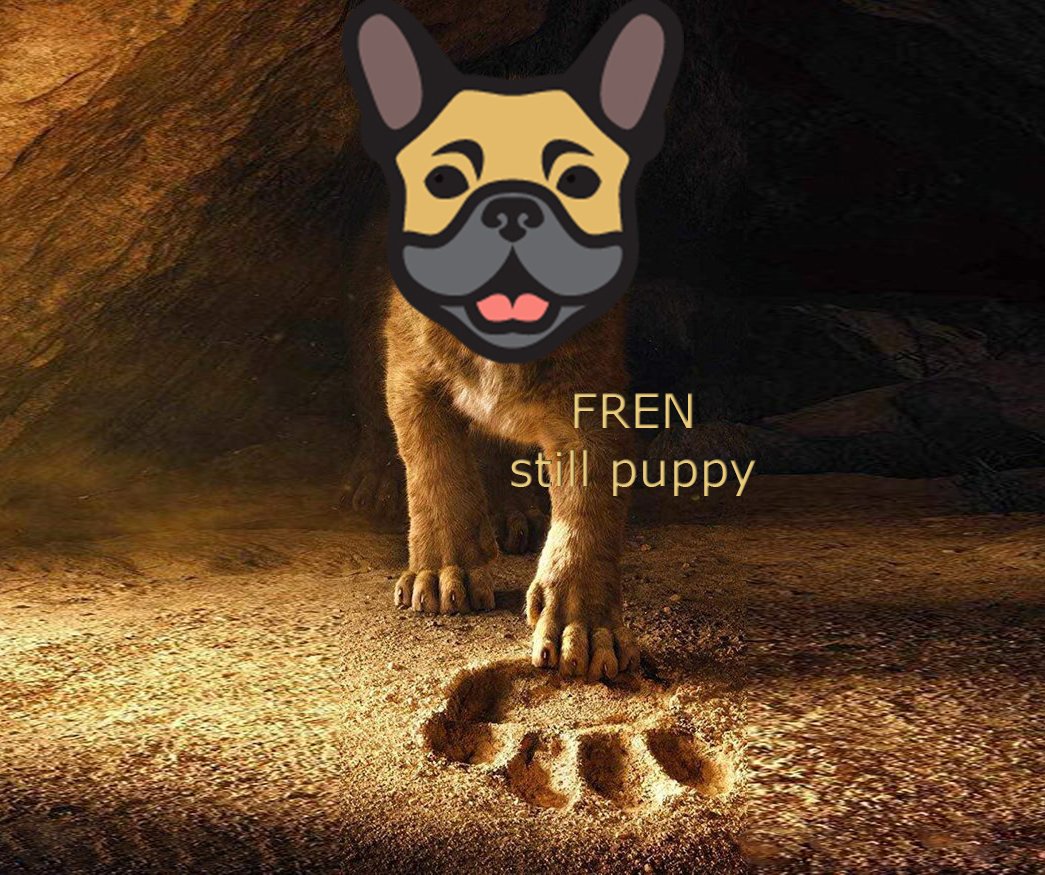 muammer6737's tweet photo. @fatihcrypto1 $fren herkez gorecek ama gec kalacak yaklasiyor gelmekte olan Frenchie network ... https://t.co/LjwxhDqKKa