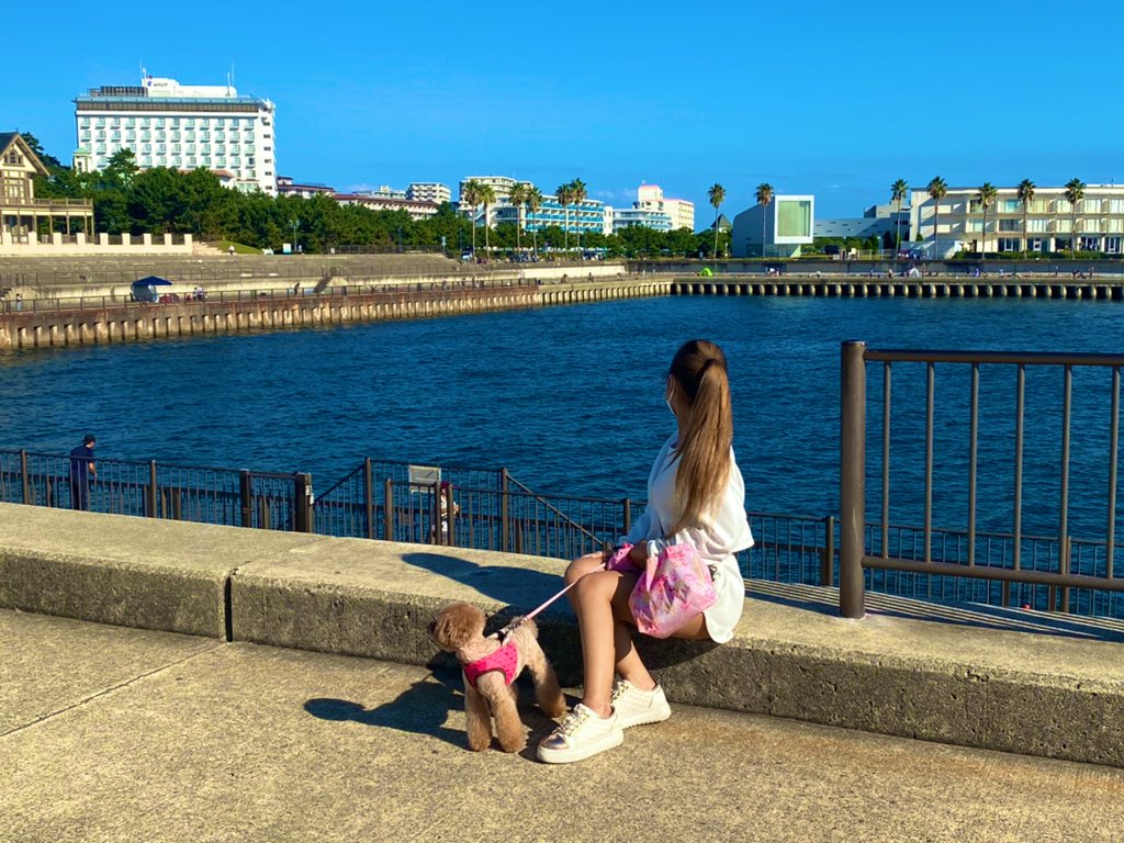 oowowow_00's tweet photo. 【ご報告】
現在参加しているmisslily
10/26~第2次審査が開始致します🔥
ファイナルまで残るには皆様のご協力が必要です😢
ミクチャでコメントやアイテムを投げて頂くだけでも
ツイートをRTして頂くだけでも
とてもとても嬉しいので是非よろしくお願い致します🥺

#misslily #ミクチャ #拡散RT希望 https://t.co/AXhVOMDz7k