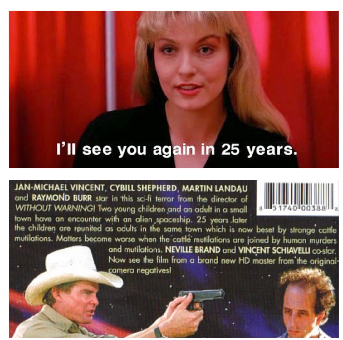 Colette Honey tweet media