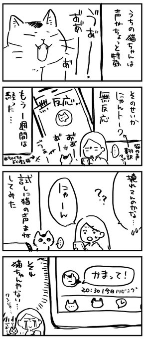 😺にゃんトーク 