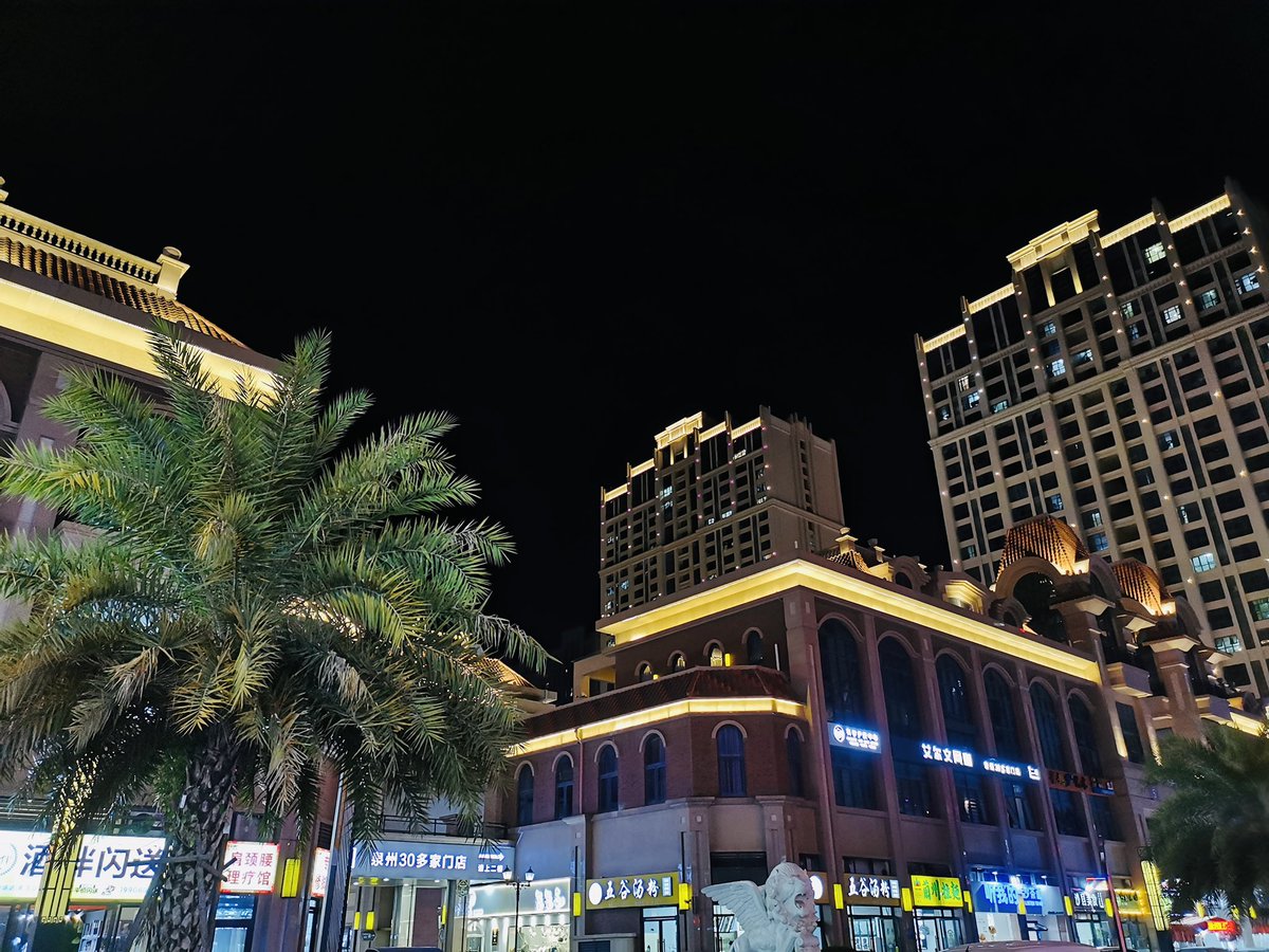 泉州比武夷山暖多了….